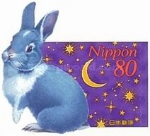 Domestic Rabbit (Oryctolagus cuniculus domesticus)