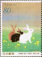 Rabbits Playing in the Field in Spring