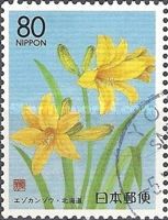Daylily