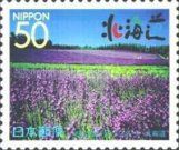 Lavender Field