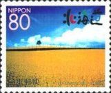 Wheat Field