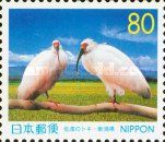 Japanese Crested Ibis (Nipponia nippon)