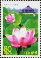Ooga Lotus Blossom