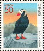 Tufted Puffin (Fratercula cirrhata)