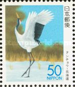 Red-crowned Crane (Grus japonensis)