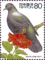 Ryukyu Pigeon (Columba jouyi), Red Hibiscus