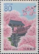 Cherry Blossoms in Takatō