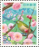 Japanese Apricot (Prunus mume var bungo), Japanese White-eye