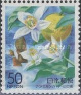 Orange Blossom & Sea - Yamaguchi Prefecture