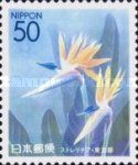 Bird-of-paradise the Flower of Hachijō City
