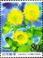 Sunflowers - 1