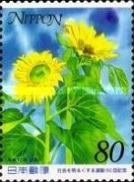 Sunflowers - 2