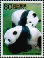 Giant Pandas 'Lan Lan' and 'Kang Kang' (Ailuropoda melanoleu