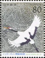Red-crowned Crane (Grus Japonensis)