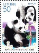 Giant Panda (Ailuropoda melanoleuca)