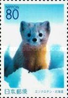 Ezo Sable (Martes zibellina ssp.)