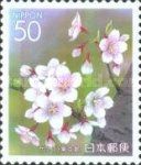 Cherry Blossoms