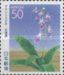 Calanthe Reflexa Orchid