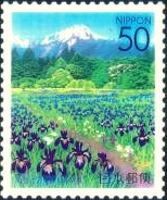 Iris & Mount Kitadake