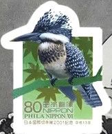 Crested Kingfisher (Megaceryle lugubris)