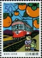 Fuyugaki - Sweet Persimmons