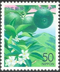Sudachi (sour citrus) & Mt. Tsurugi - Tokushima Pref.