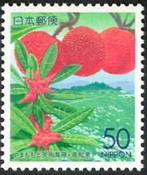 Yamamomo (Bayberry) & Tengu Highland - Kōchi Pref.
