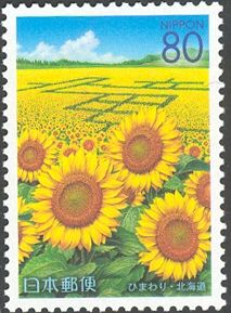 Sunflowers & field showing the name of the town "Hokuryū"