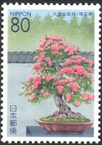 Hawthorn Bonsai