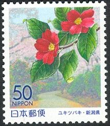 Winter Camellia & Kamoyama Park - Chūetsu area