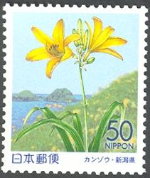 Day Lily & Oonogame Rock - Sado Island
