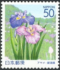 Iris & Ijimino Park - Kaetsu area