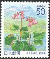 Iwakagami & Mount Myōkō - Jōetsu area