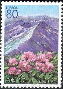 Azuma rhododendron & Tanigawa Mountain range