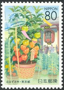 Hozuki Ichii or Ground Cherry Fair