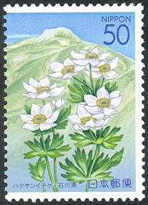 Hakusan Ichige & Mount Gozengamine