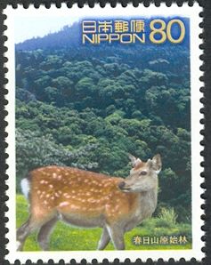 Kasugayama Primeval Forest, Sika Deer (Cervus nippon)