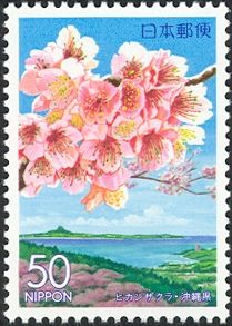 Prunus & Iejima island