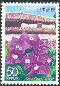 Bougainvillea & traditional house in Tsuboya