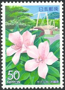 Seishika Flower & Seishika Bridge - Ishigaki Island