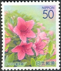 Azalea