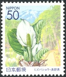 Skunk Cabbage & Okususobana Nature Garden (Hokushin area)