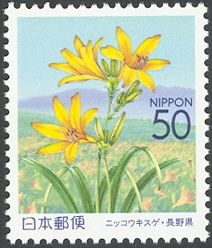 Day lillies & Mount Kirigamine - Nanshin area