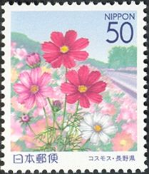 Cosmos & Saku Cosmos Highway - Toshin Area