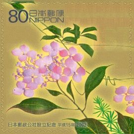 Hydrangea