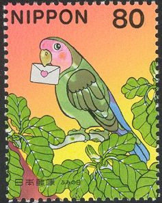 Parakeet
