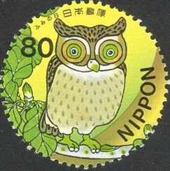 Horned owl