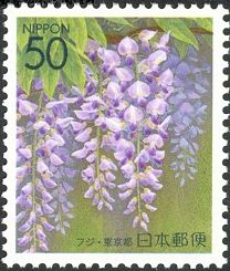 Wisterias