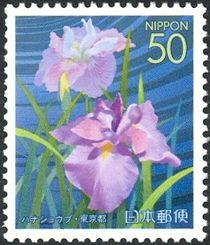 Irises