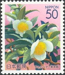 Tea blossoms
